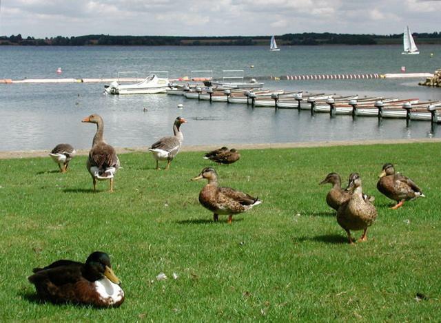 Grafham Water Lodge Exterior foto